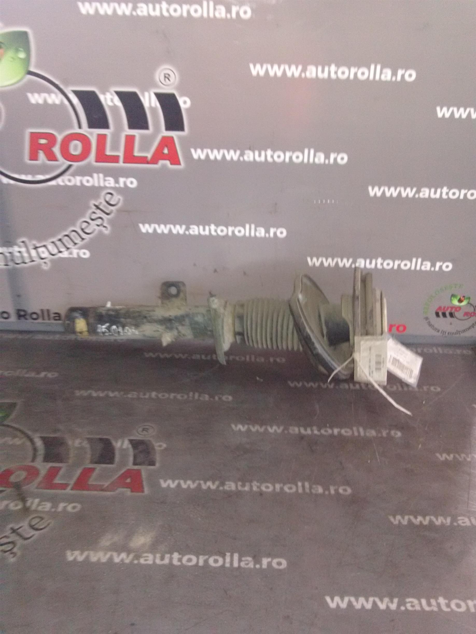 amortizor fata si flansa Peugeot 406