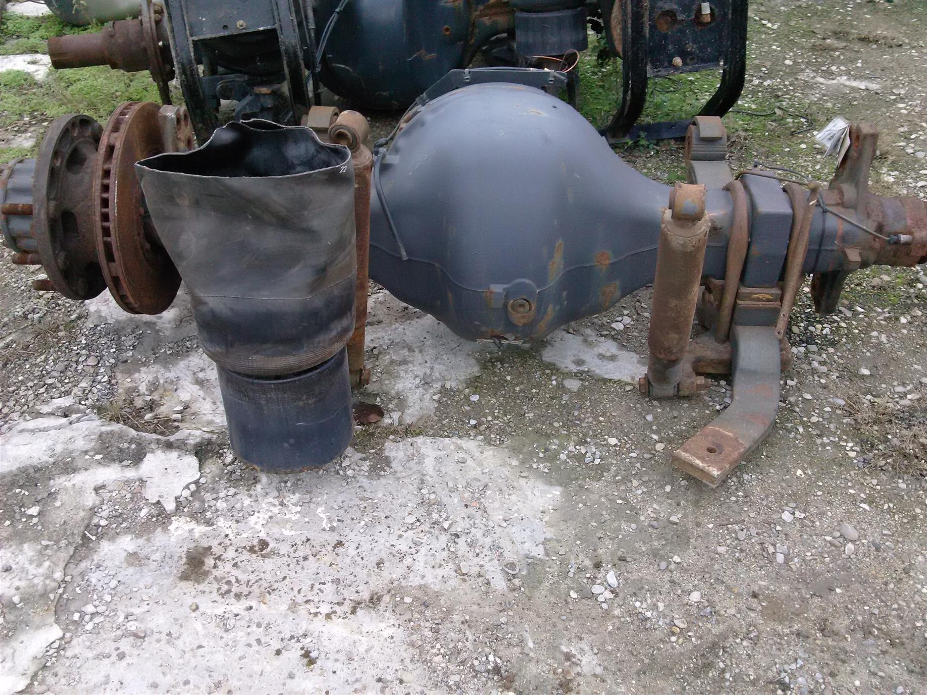 Punte spate Renault Magnum