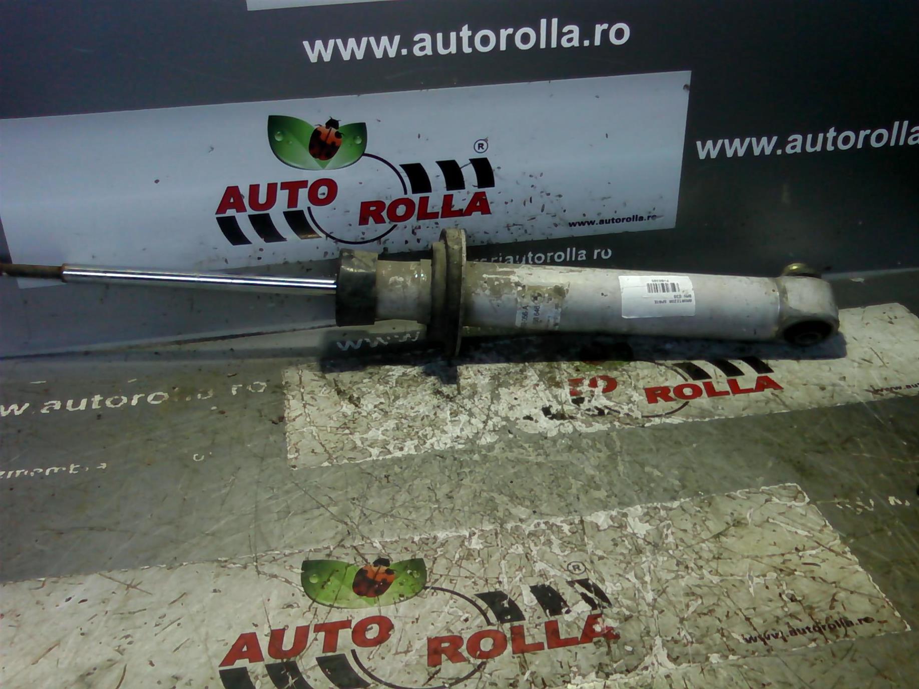 amortizor spate BMW E39