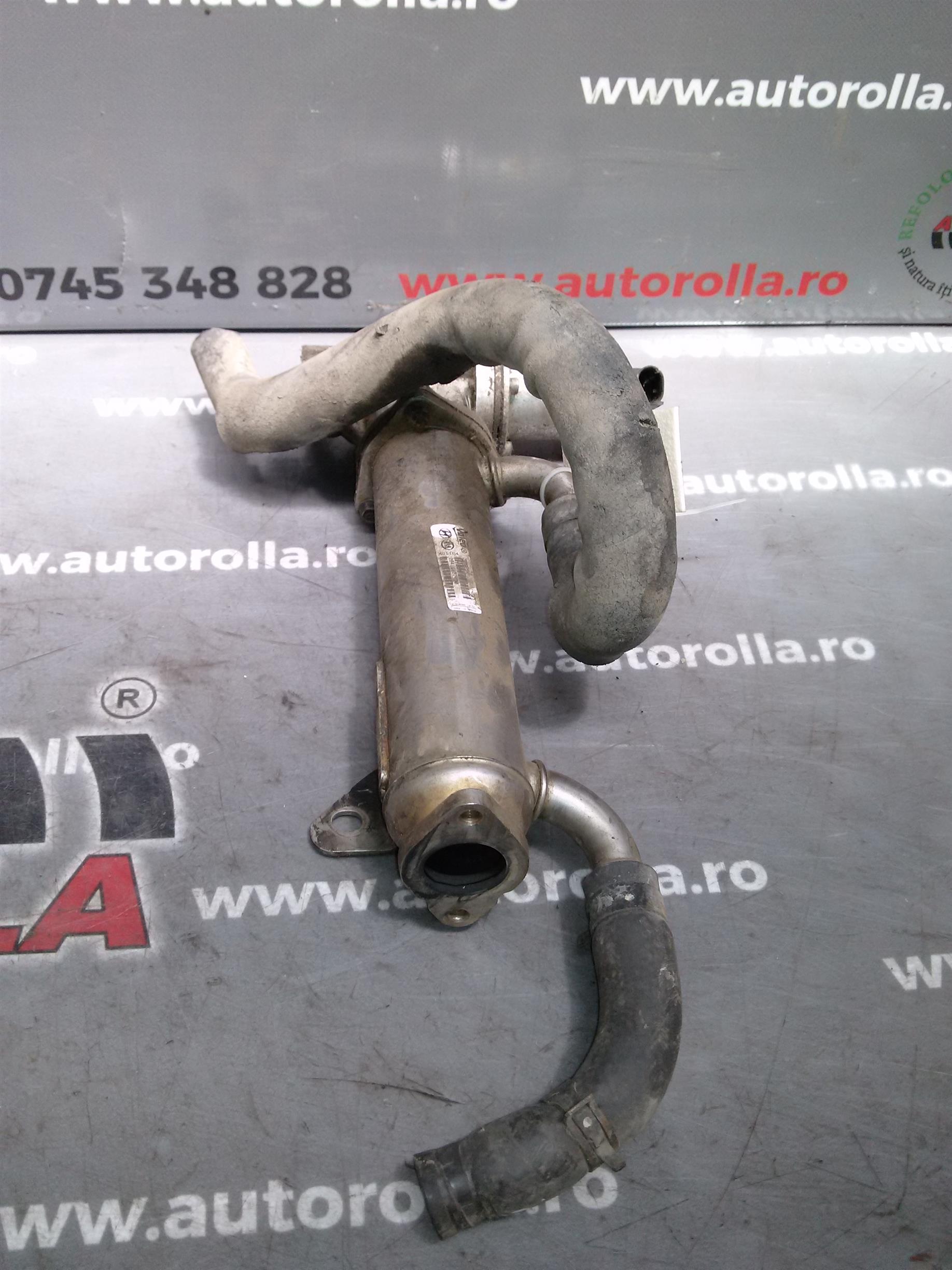 egr Hyundai Santa Fe 2.2D, an 2008
