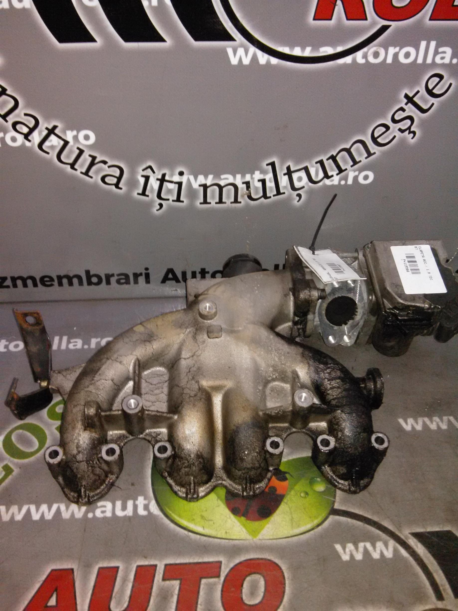 egr si galerie admisie Volkswagen Passat B6, 1.9TDI