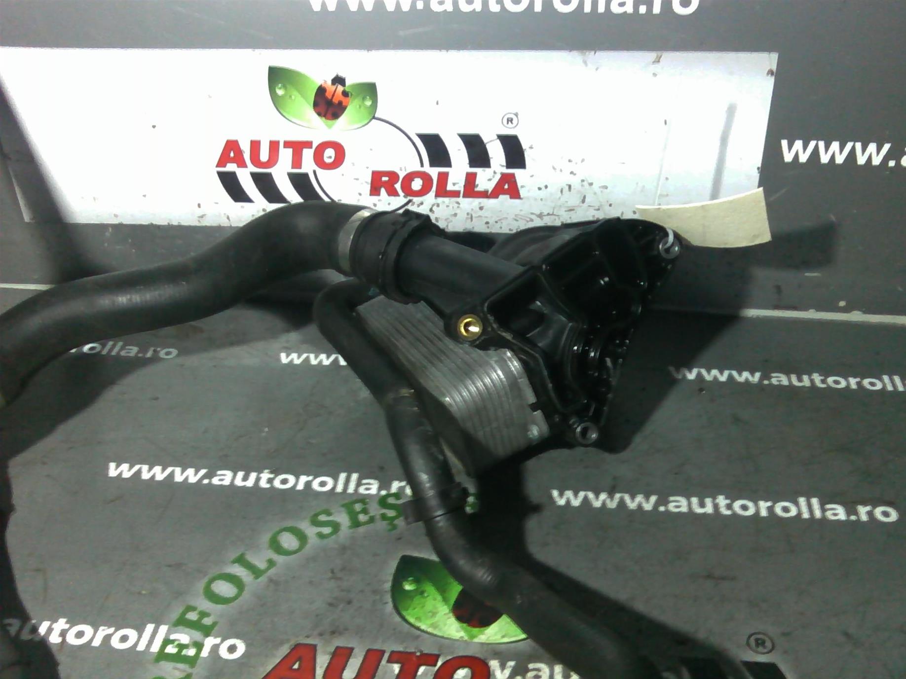 thermoflot motor BMW E90, 2.0S