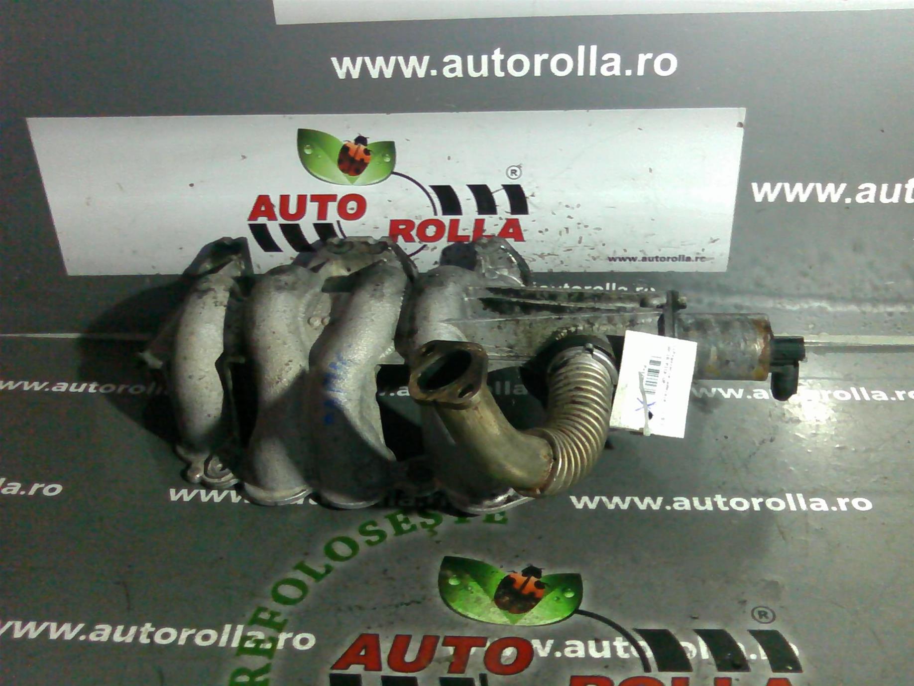egr si galerie admisie Dacia Pick up 1.9D