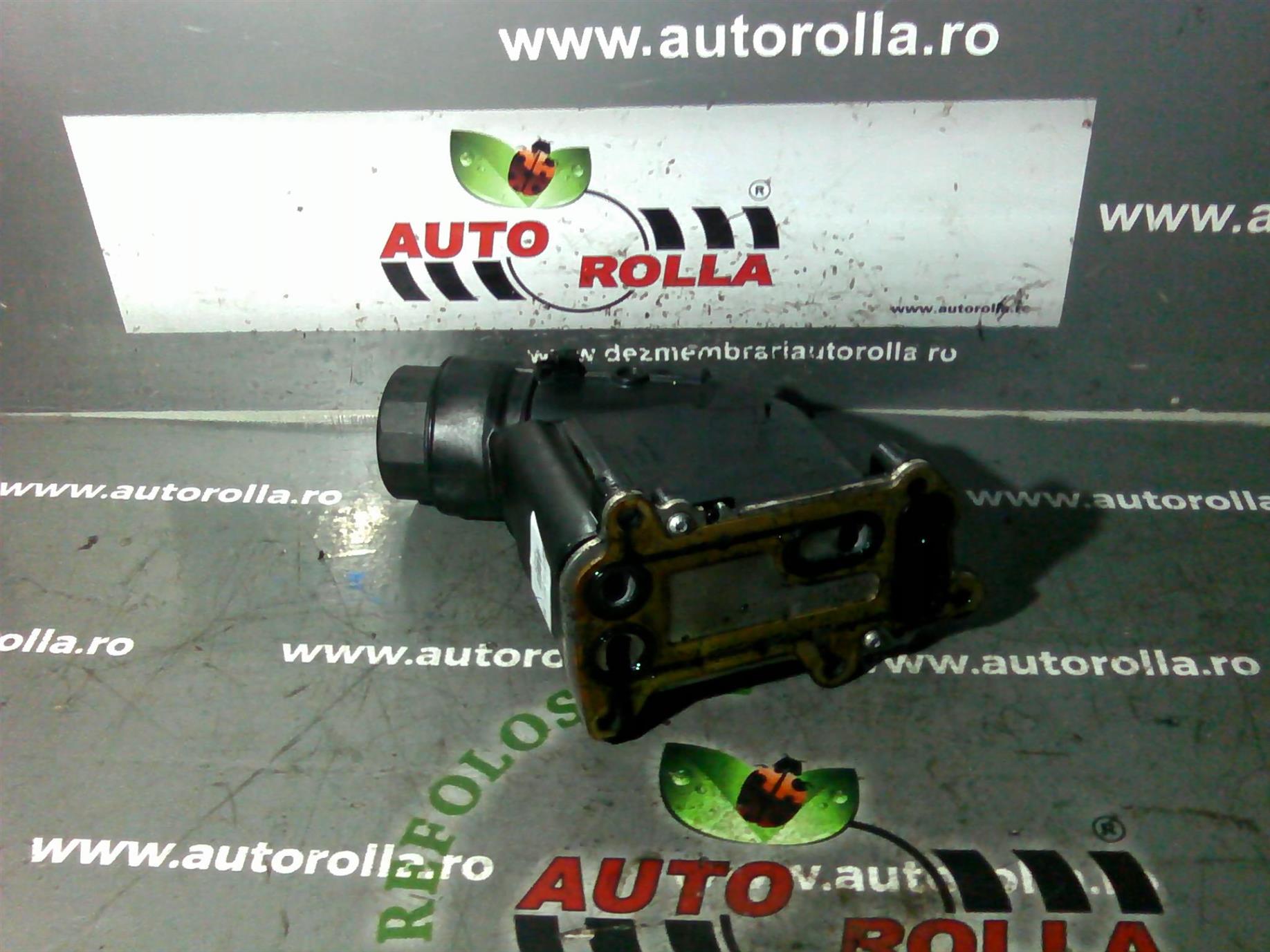thermoflot motor BMW X1 E84, 2.0D