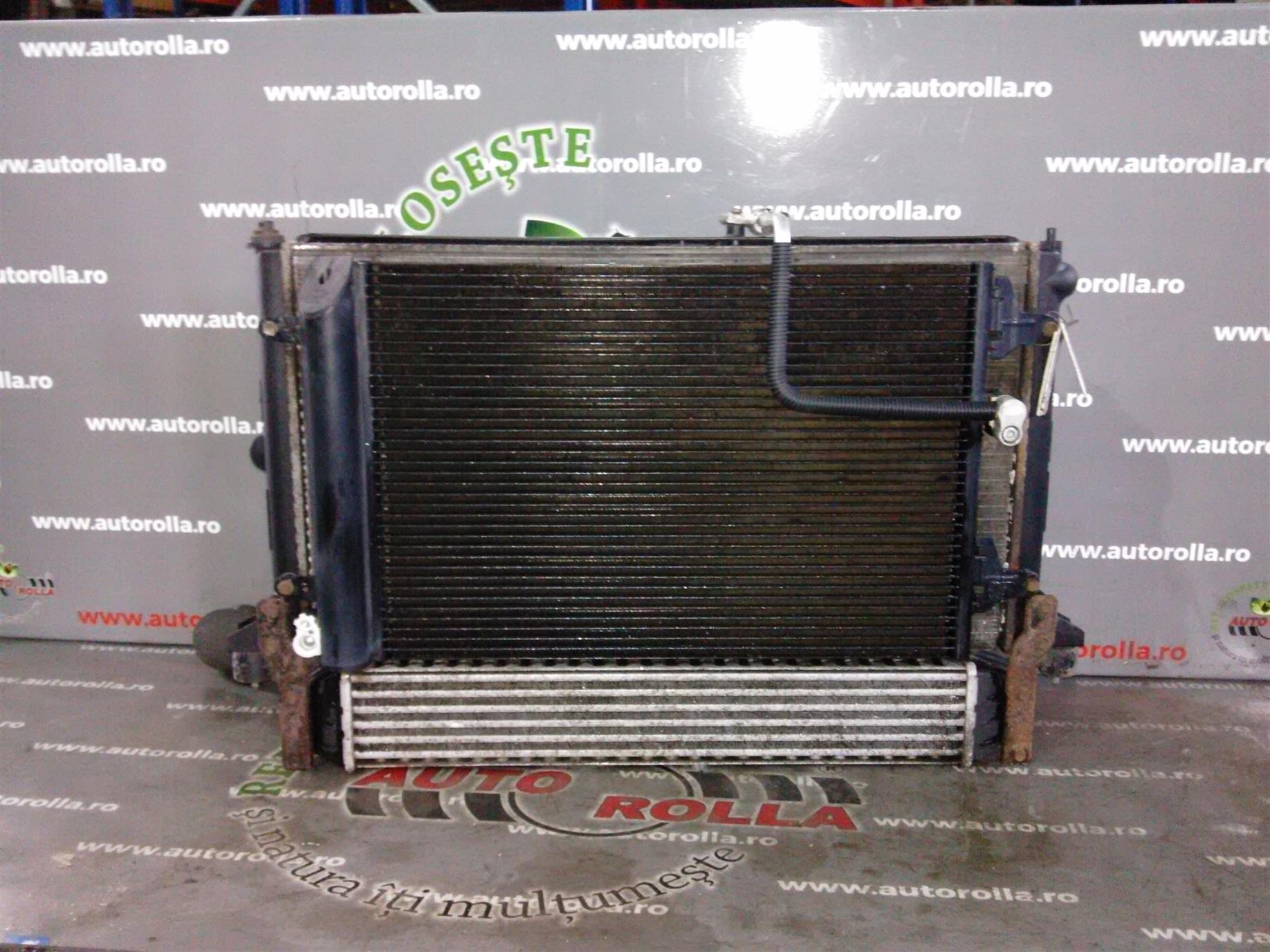 Radiator apa Ford Galaxy 1.9d