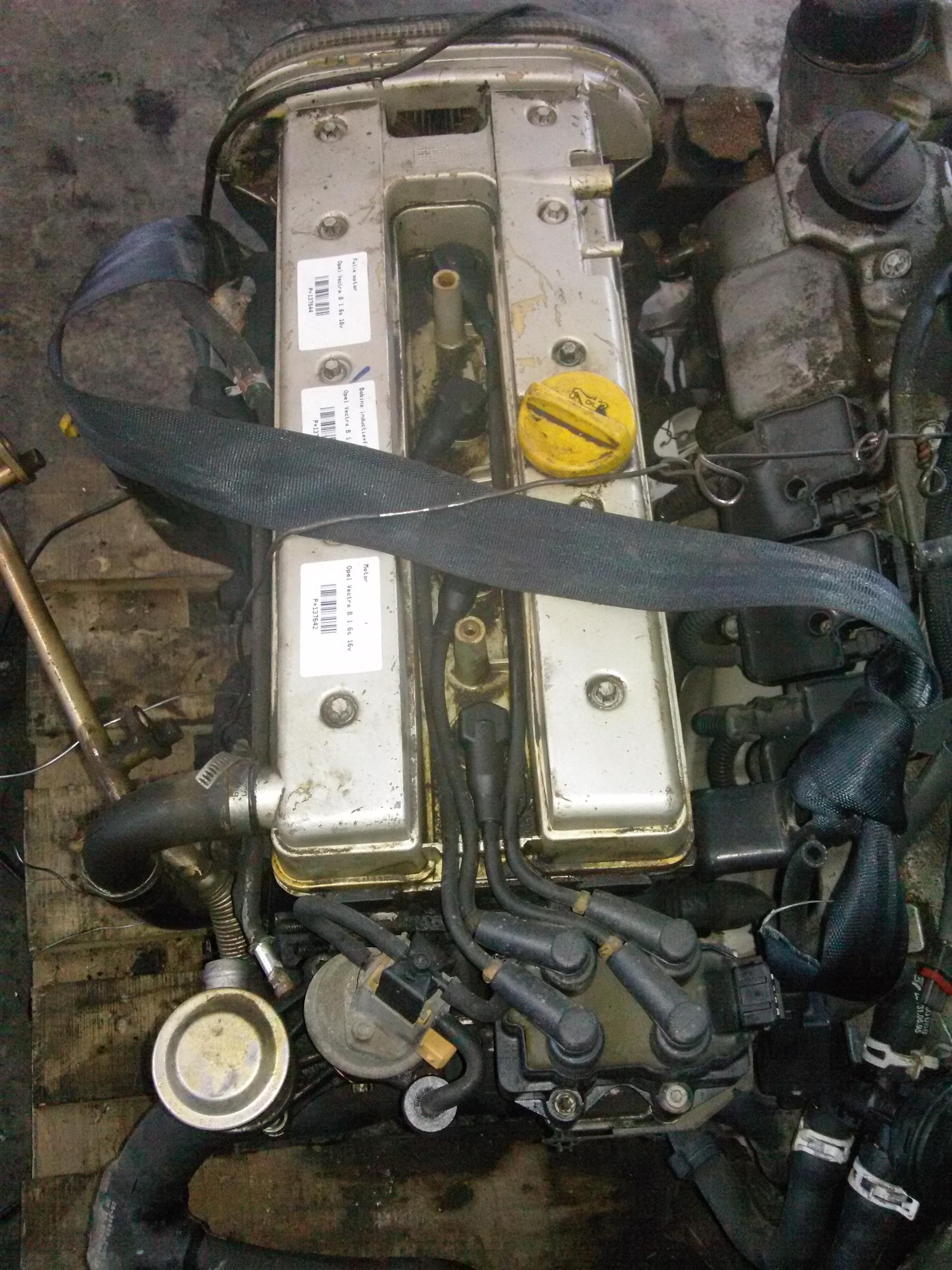 Fulie motor Opel Vectra B 1.6s 16v
