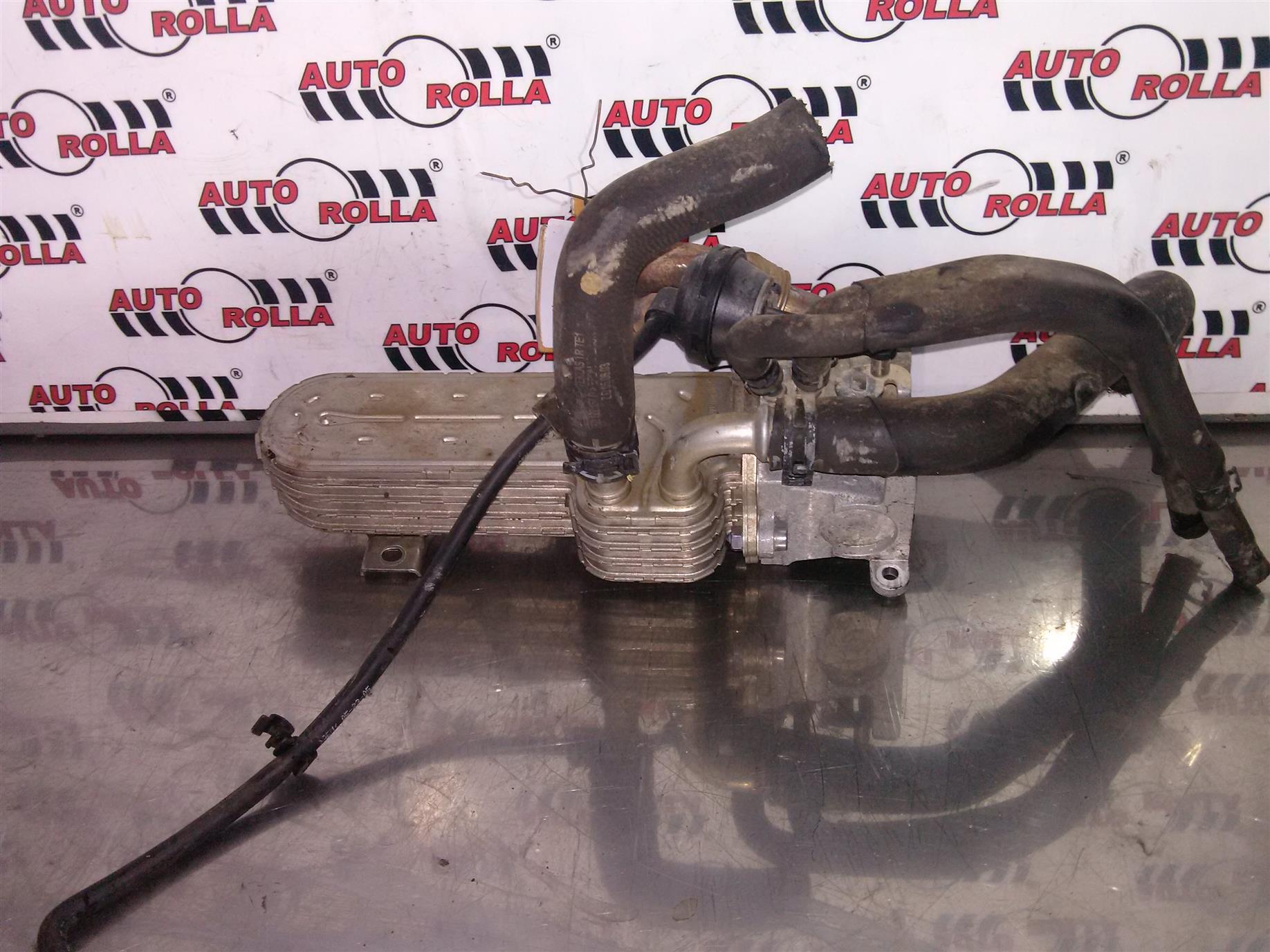 Egr+racitor Volkswagen Passat B6 2.0d an 2006