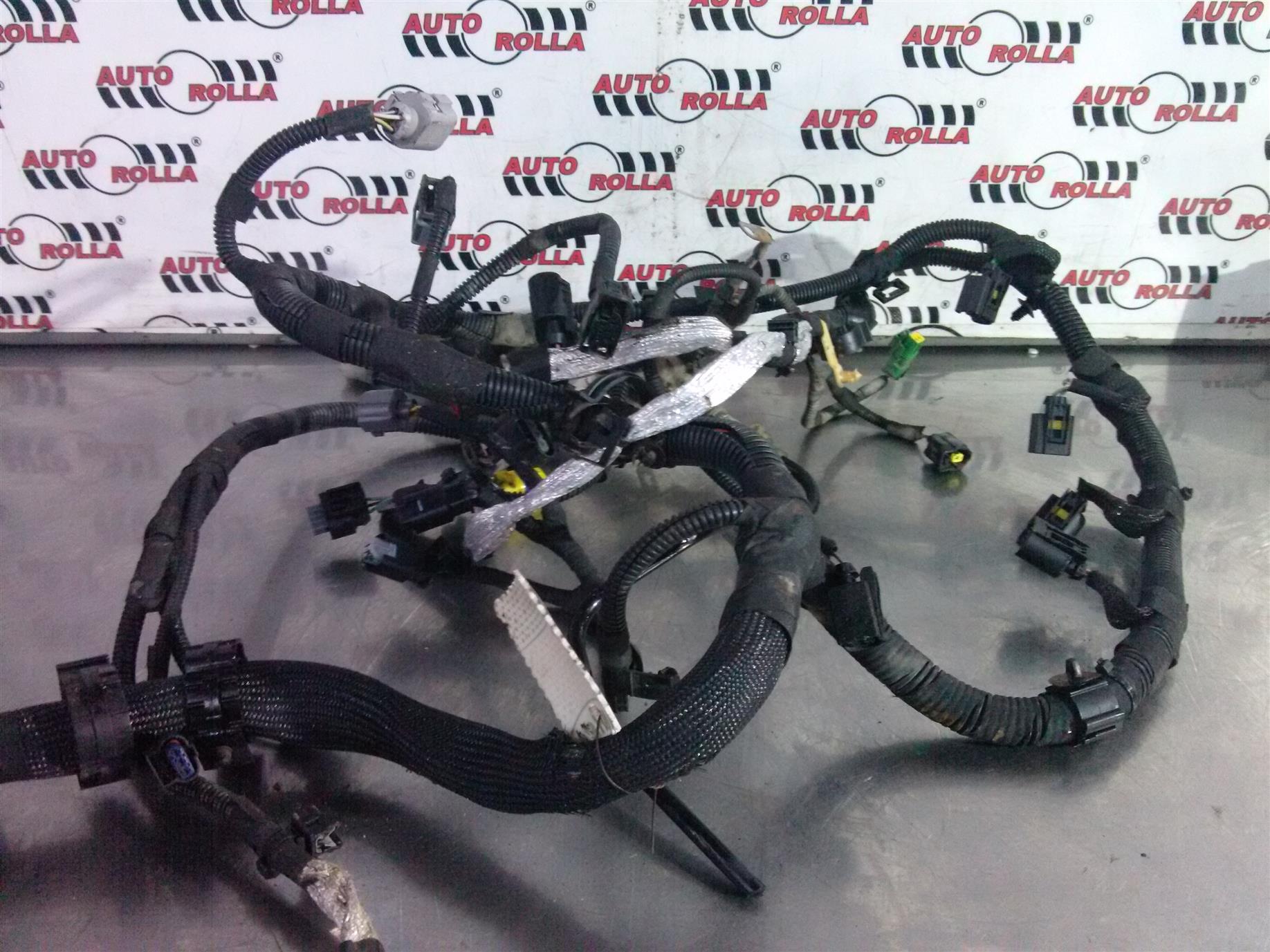 Instalatie electrica Peugeot Boxer 2.2D E5