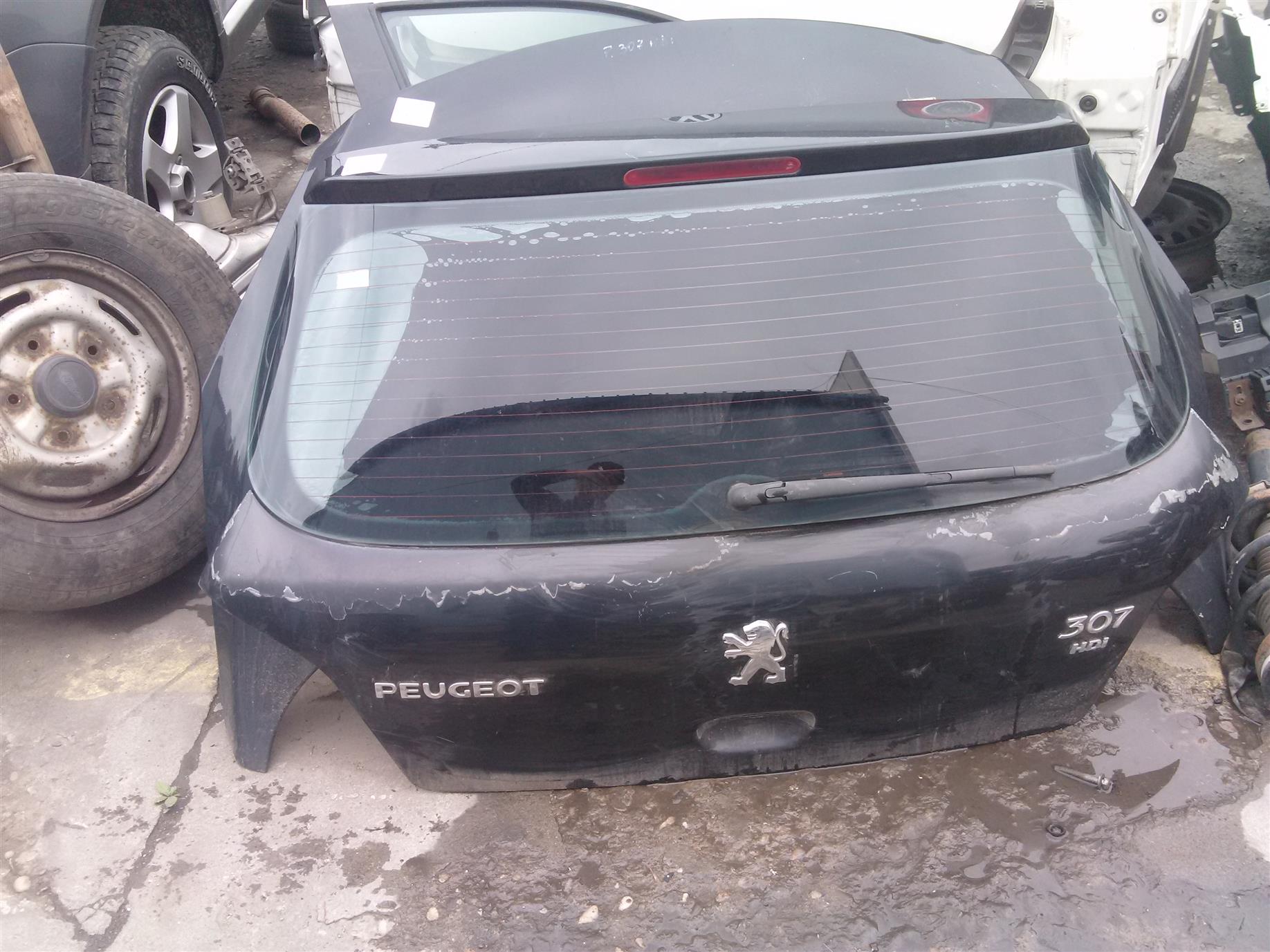 Haion Peugeot 307, an 2006.