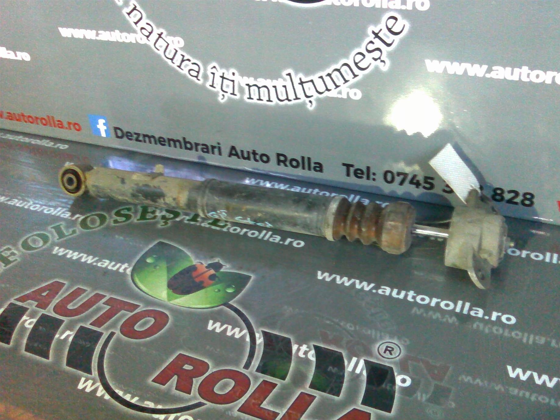 amortizor si flansa spate Volkswagen Golf 5