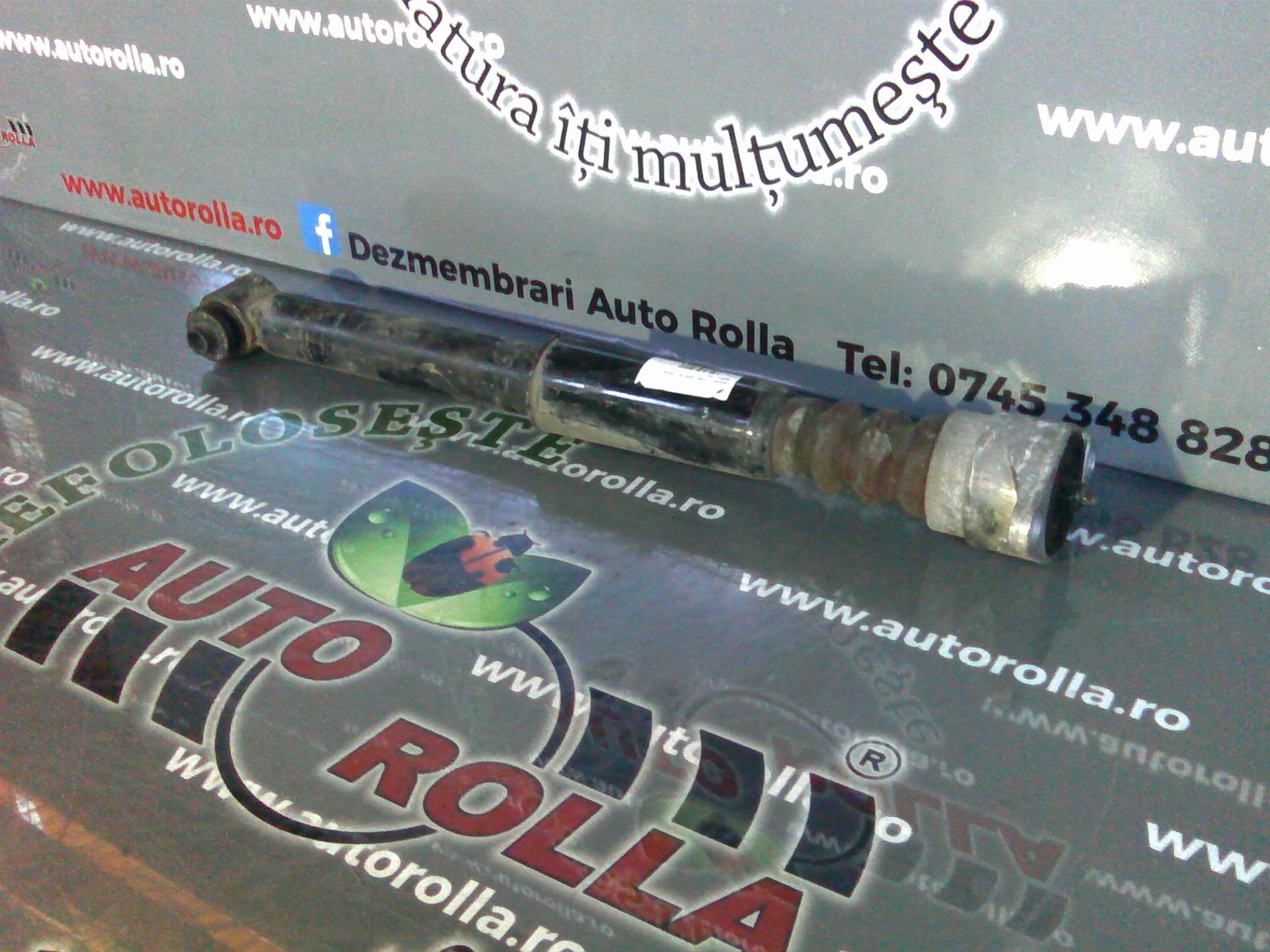 amortizor spate Audi A6, an 2006