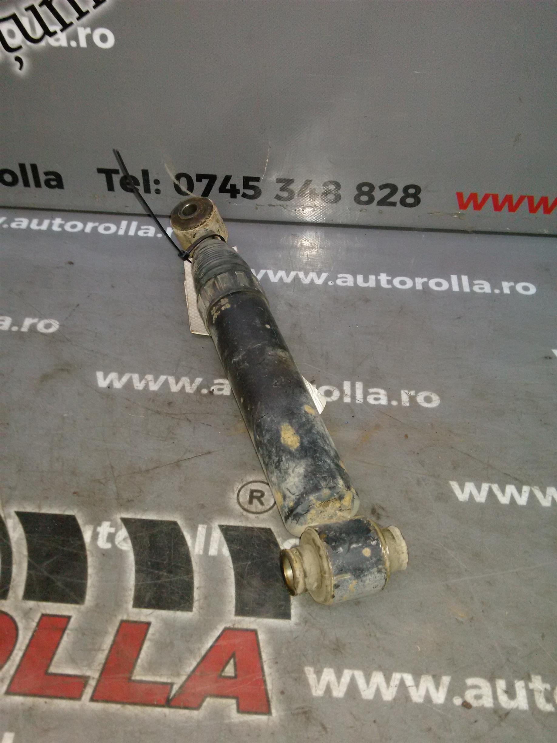 amortizor spate Peugeot 206