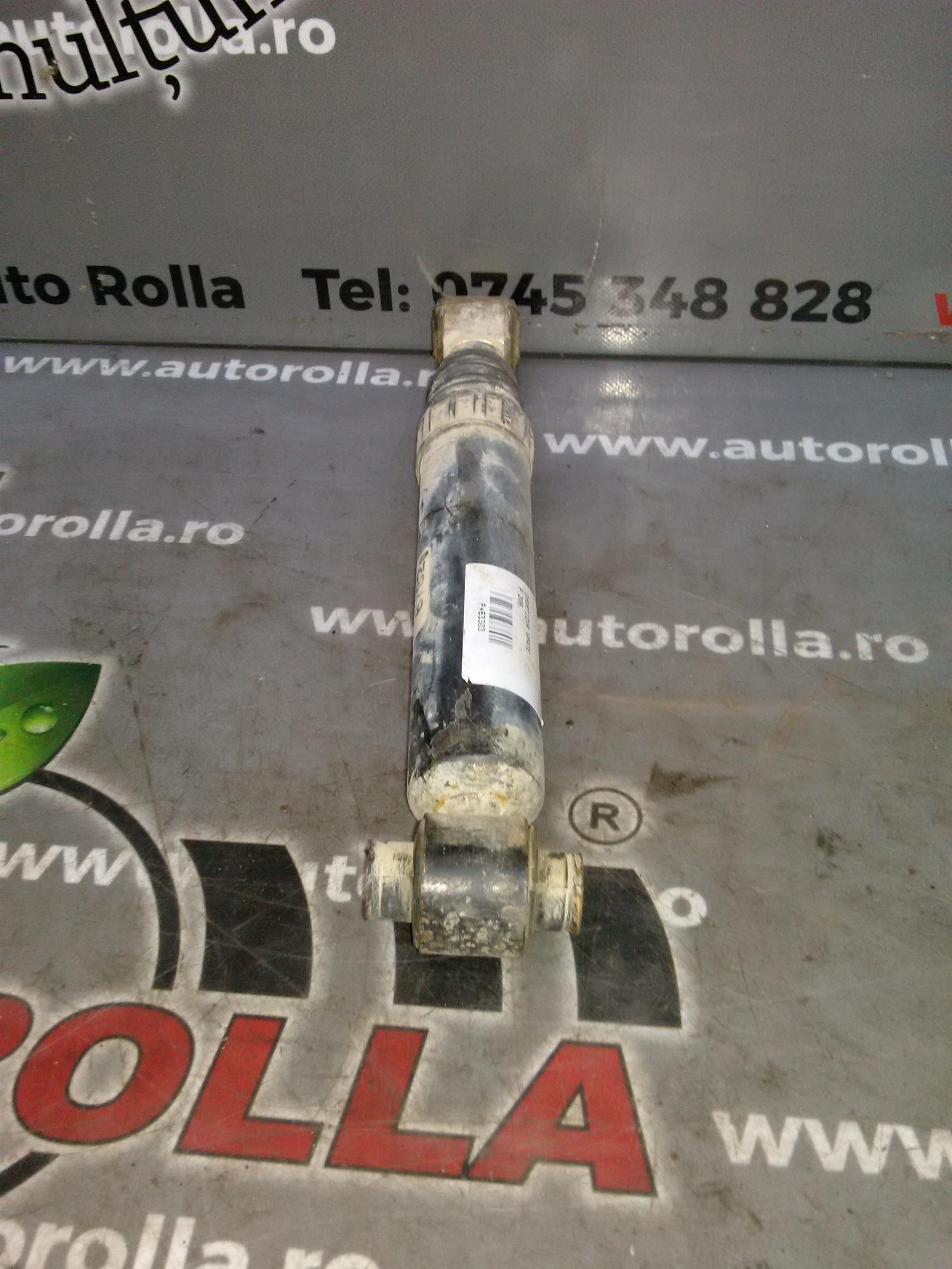 amortizor spate Peugeot 206