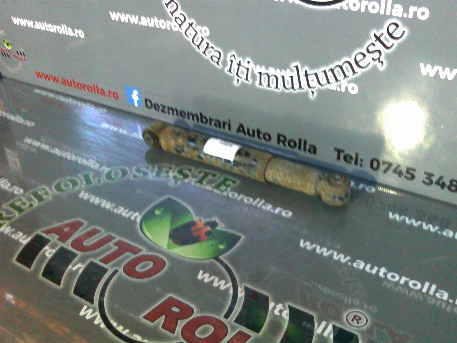 amortizor spate Volkswagen LT 35