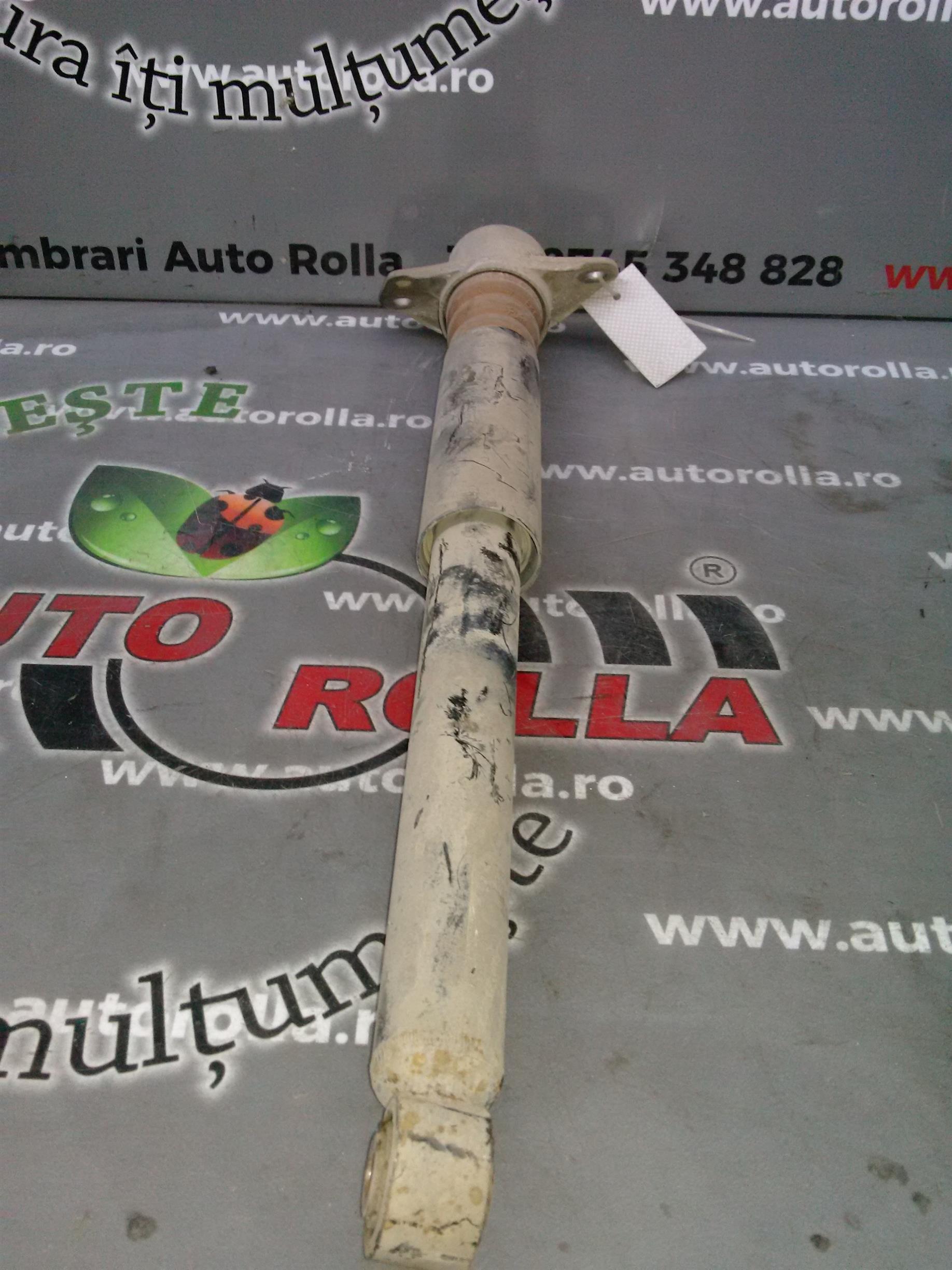 amortizor spate Volkswagen Passat B6