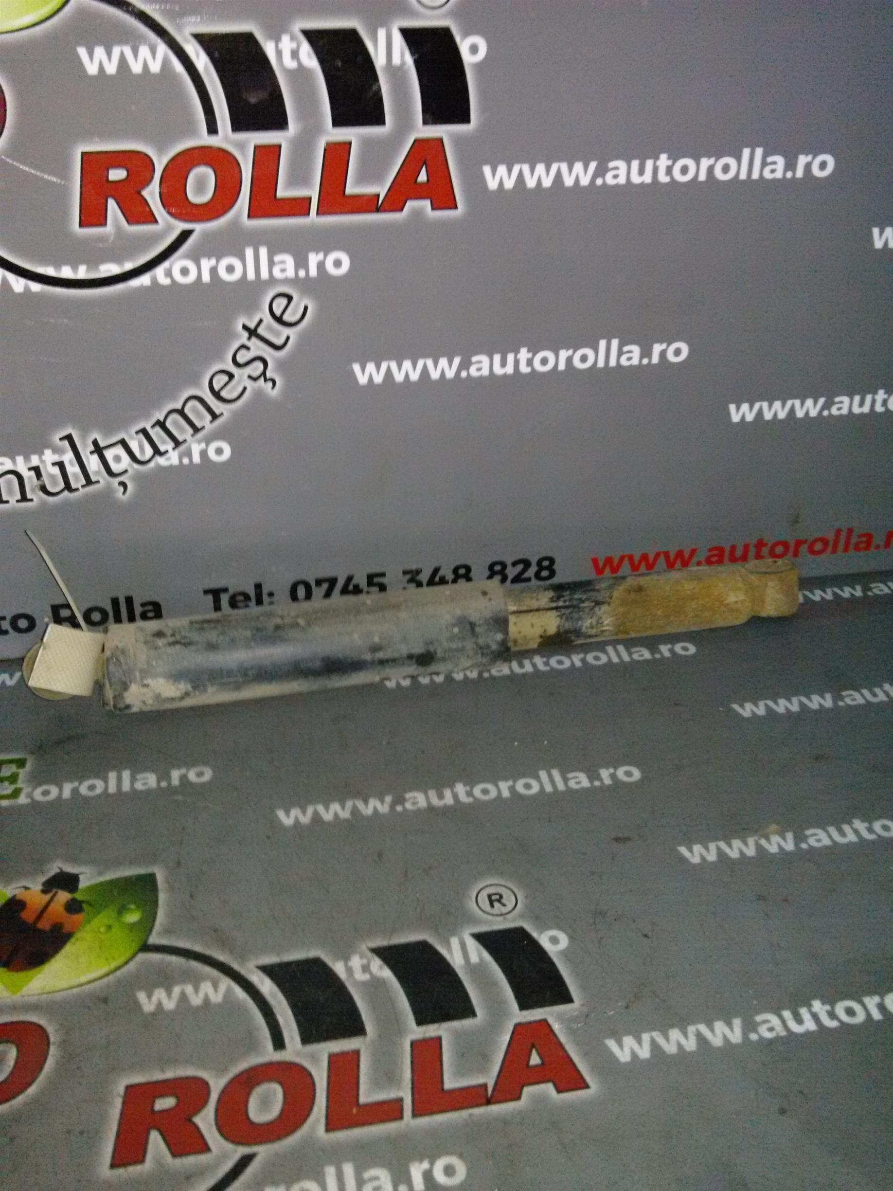 amortizor spate Ford Transit Connect, an 2003
