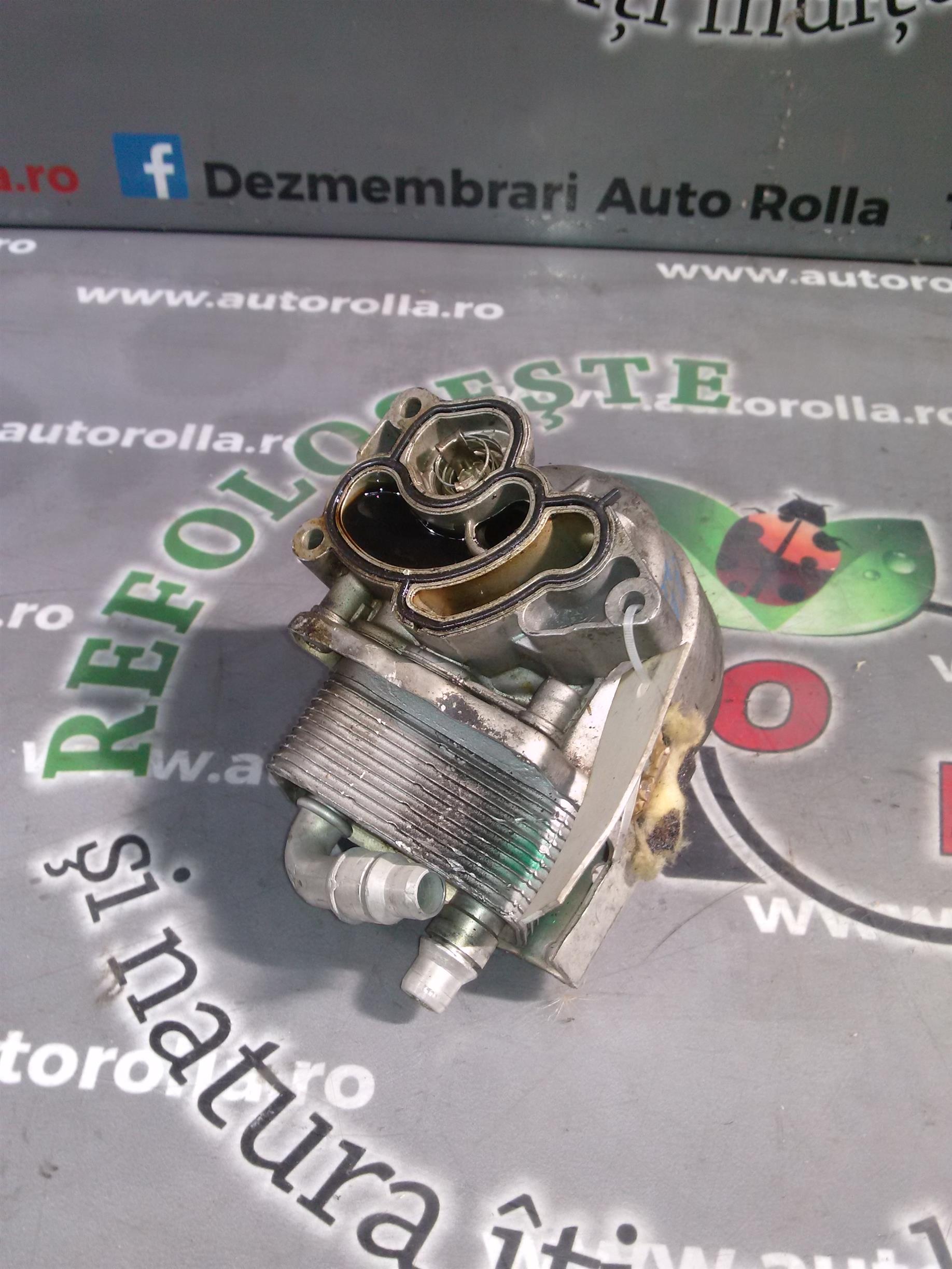 termoflot BMW E90, 2.0S an 2008