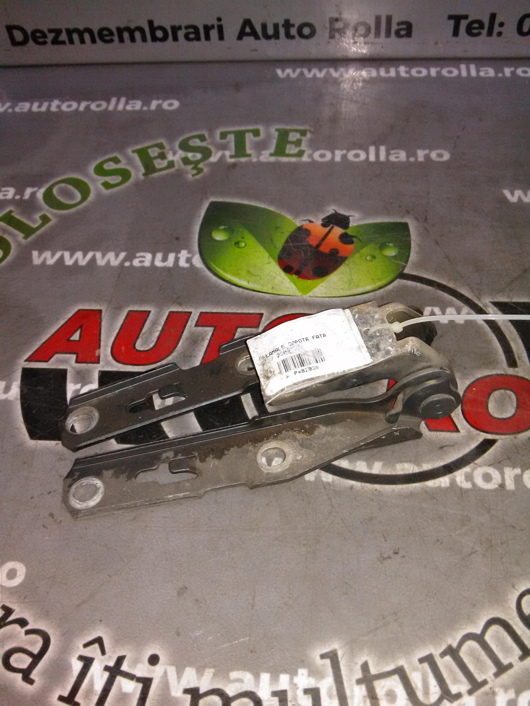 balamale capota fata Audi A4, an 2007