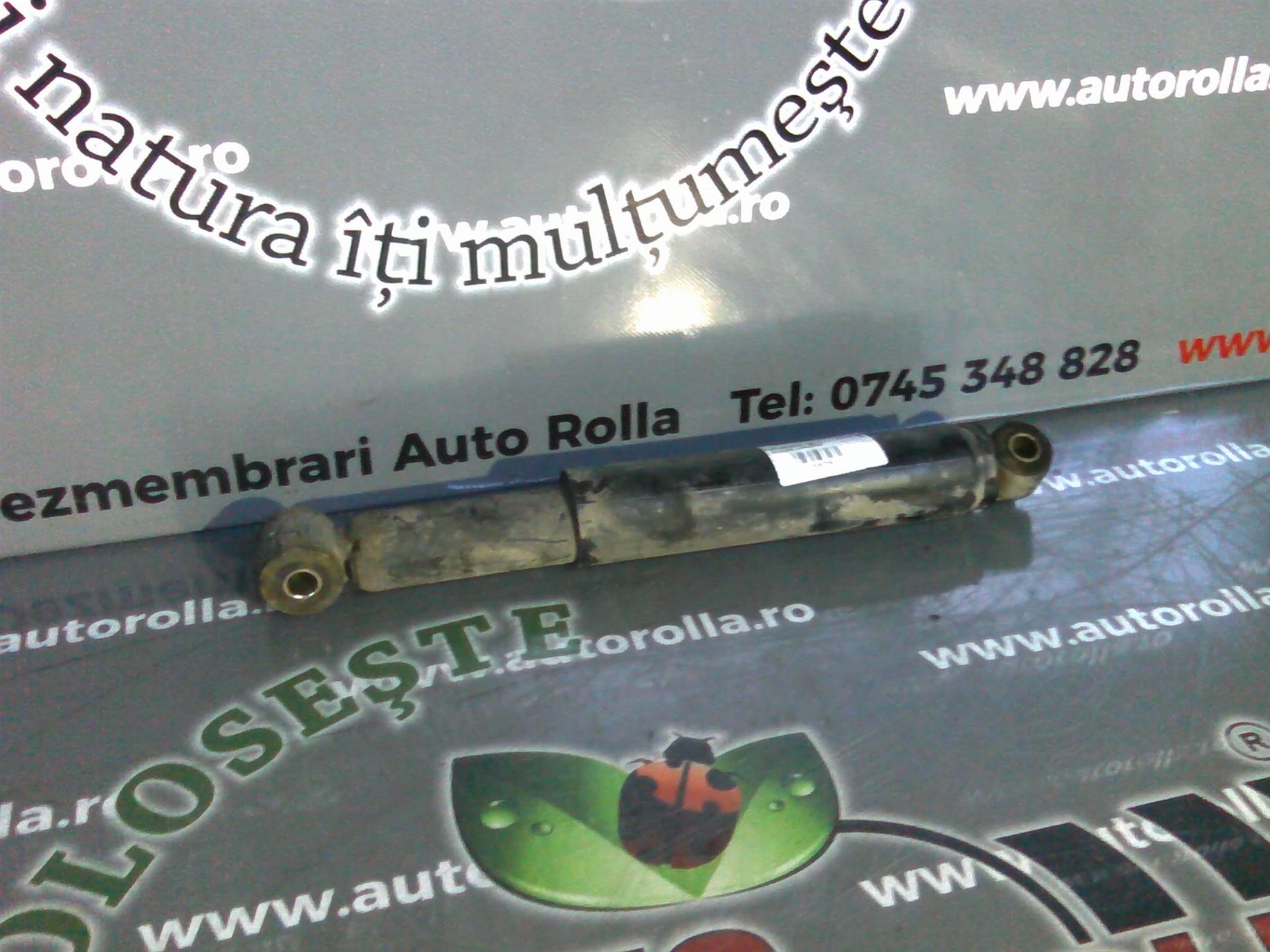 amortizor spate Nissan Cabstar